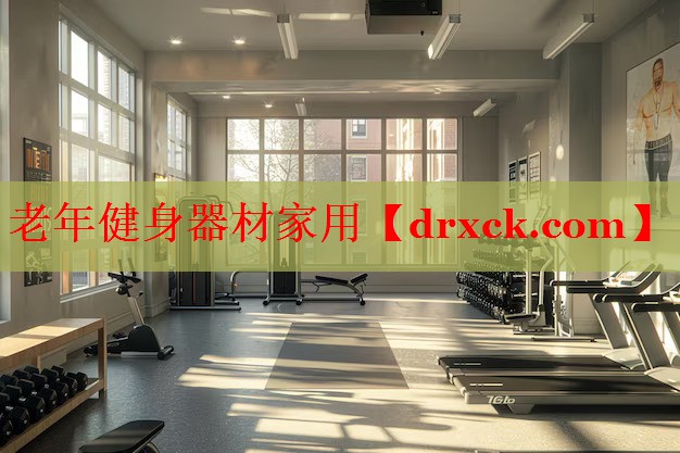 老年健身器材家用