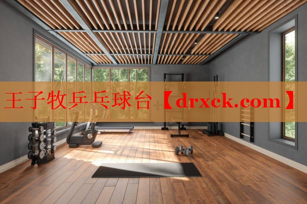 王子牧乒乓球台