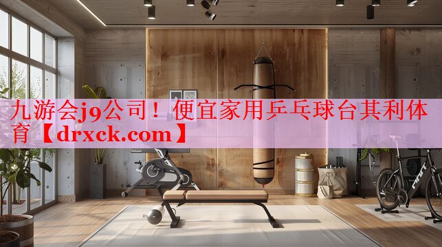 九游会j9公司！便宜家用乒乓球台其利体育