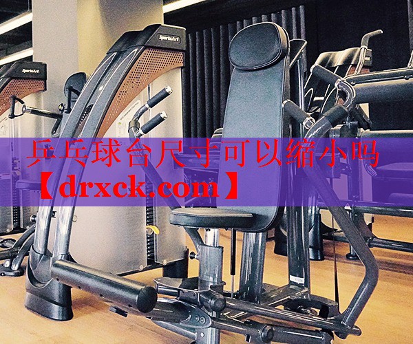 乒乓球台尺寸可以缩小吗