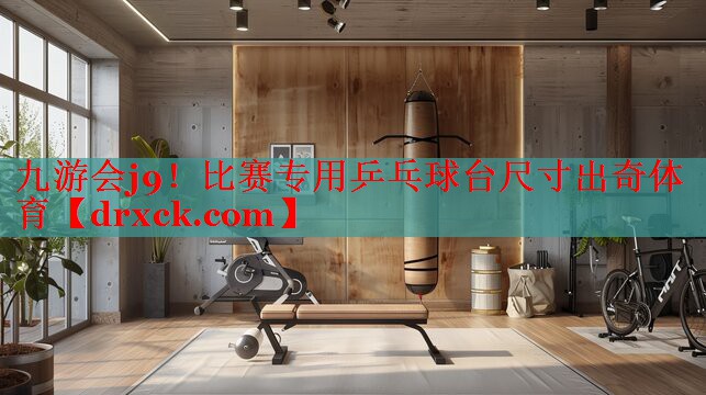 九游会j9！比赛专用乒乓球台尺寸出奇体育