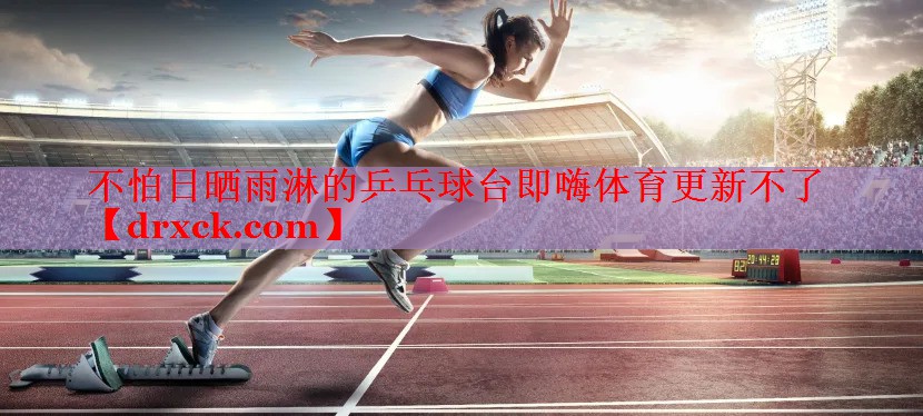 不怕日晒雨淋的乒乓球台即嗨体育更新不了