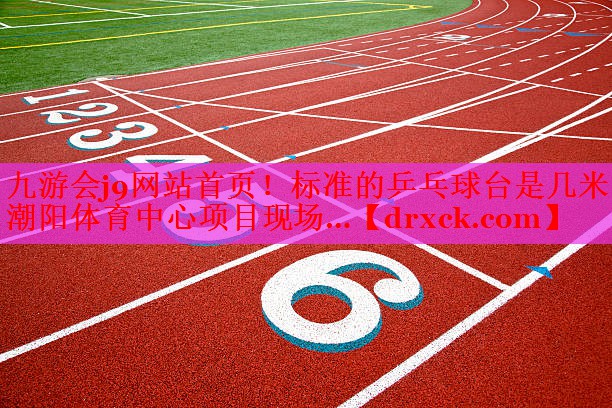 九游会j9网站首页！标准的乒乓球台是几米潮阳体育中心项目现场…