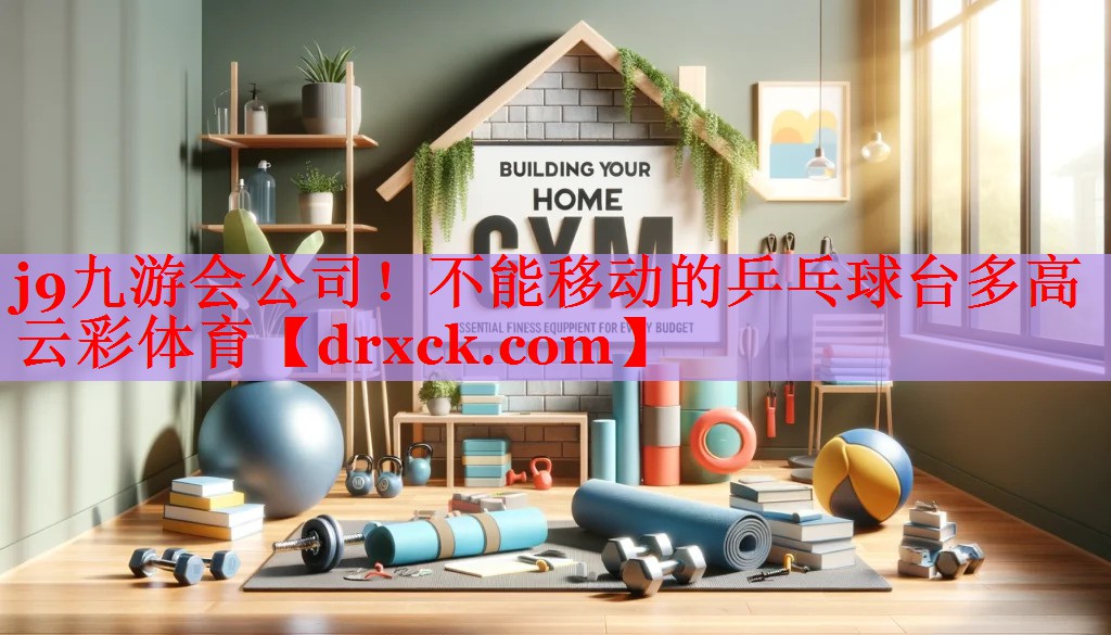 j9九游会公司！不能移动的乒乓球台多高云彩体育