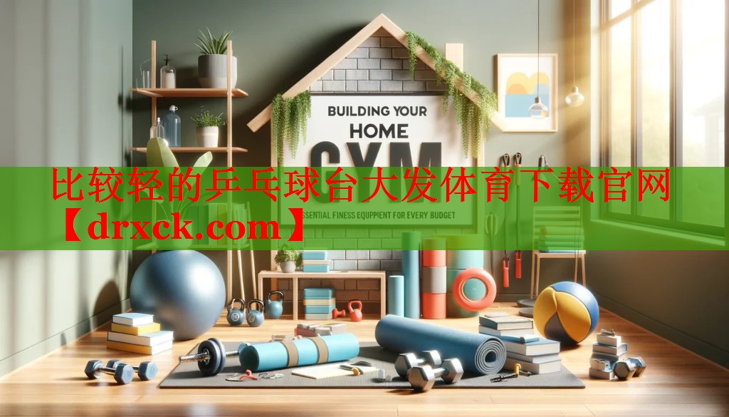 比较轻的乒乓球台大发体育下载官网