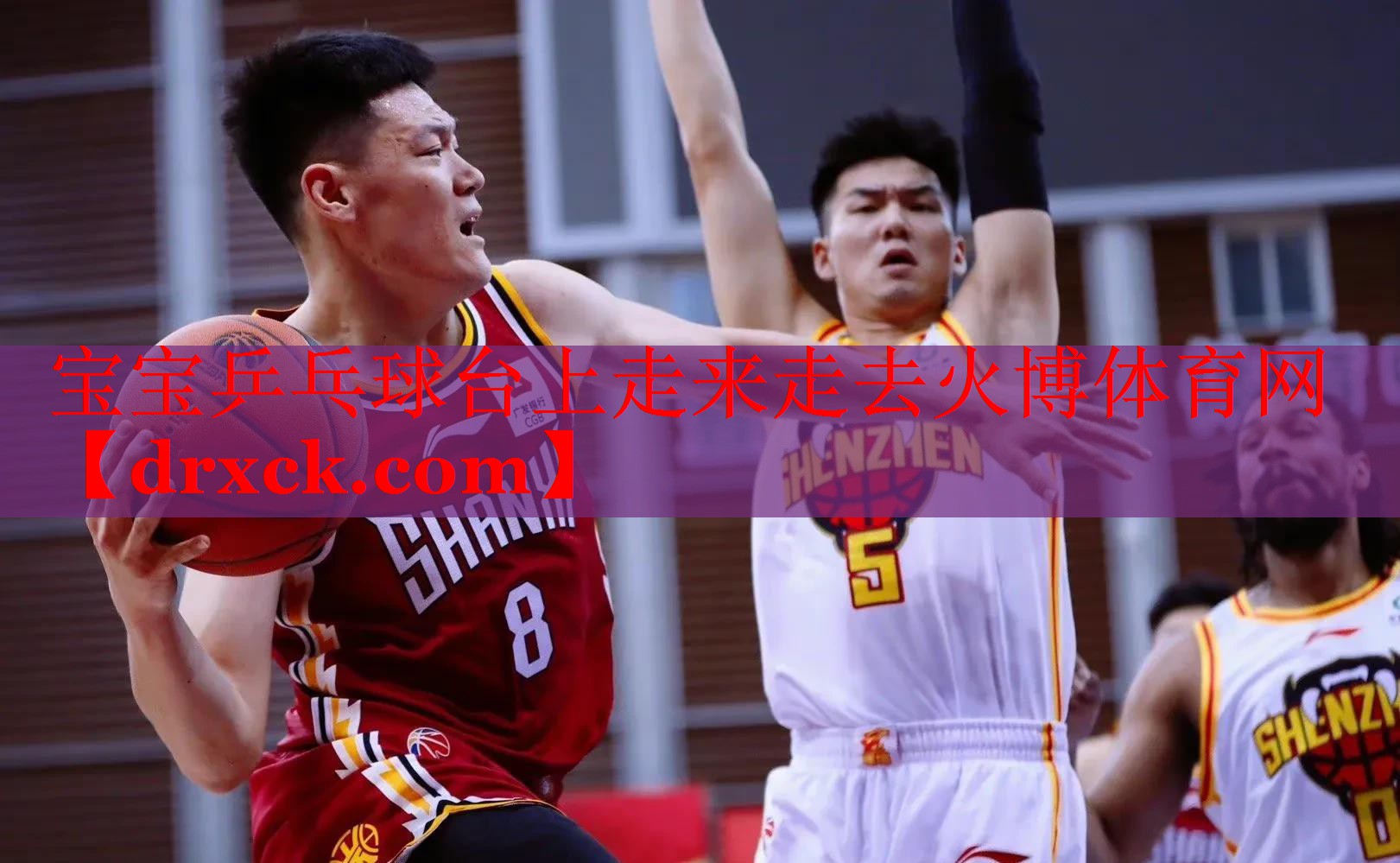 宝宝乒乓球台上走来走去火博体育网