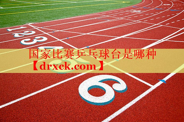 国家比赛乒乓球台是哪种