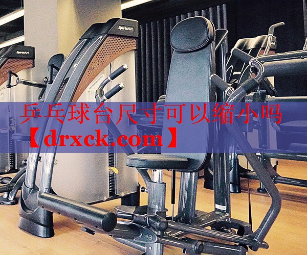 乒乓球台尺寸可以缩小吗
