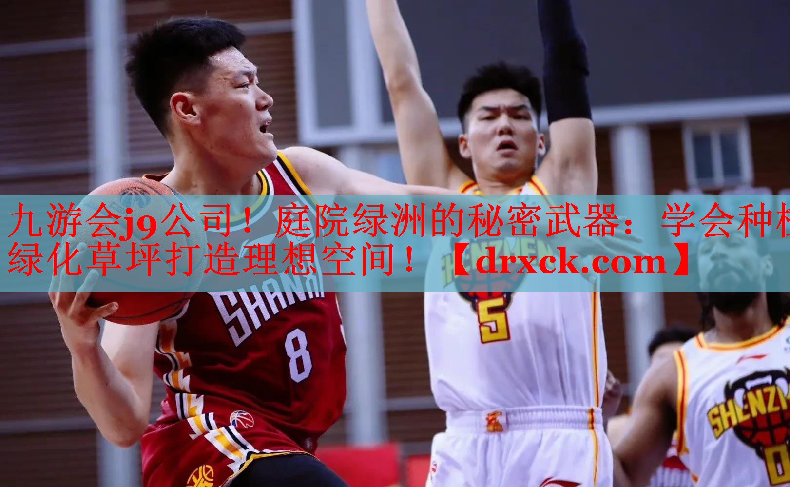 庭院绿洲的秘密武器：学会种植绿化草坪打造理想空间！