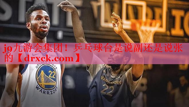 乒乓球台是说副还是说张的