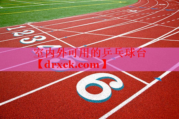室内外可用的乒乓球台